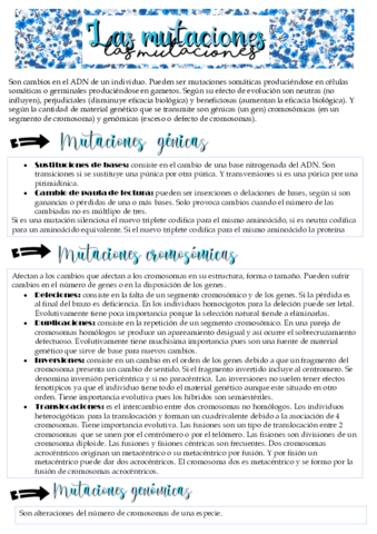 mutaciones.pdf