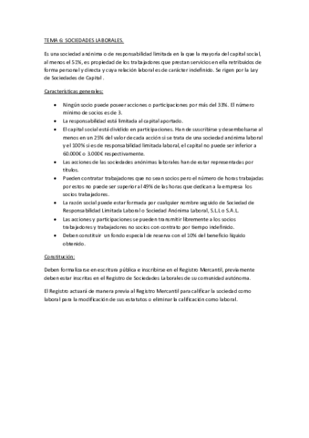 Sociedad-laboral.pdf