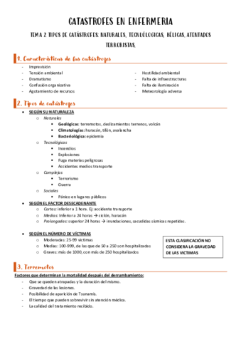 CATASTROFES-EN-ENFERMERIA-tema-2.pdf