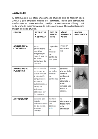 ACTIVIDAD-II-DE-LA-UD-VII.pdf