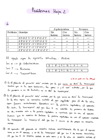 Problemas-Hoja-2-20210310195704.pdf