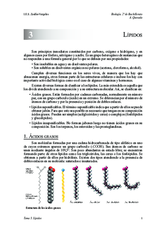 tema-3-lipidos.pdf