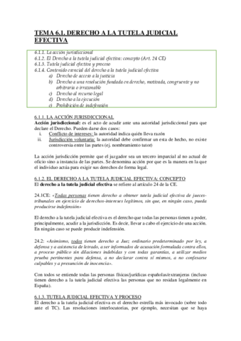 TEMA-6-.pdf