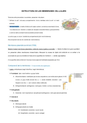 parcial-1.pdf