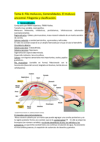 Tema-6.pdf