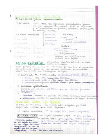 HISTOLOGIA-ANIMAL.pdf