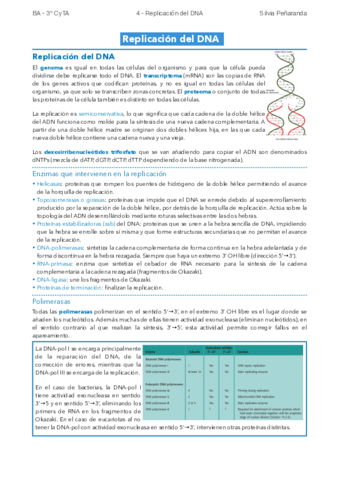 4-Replicacion-del-DNA.pdf