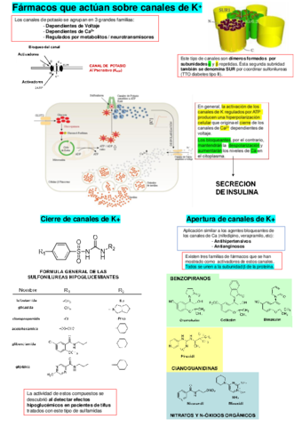Canales-de-K-y-ATPasa-H-K.pdf