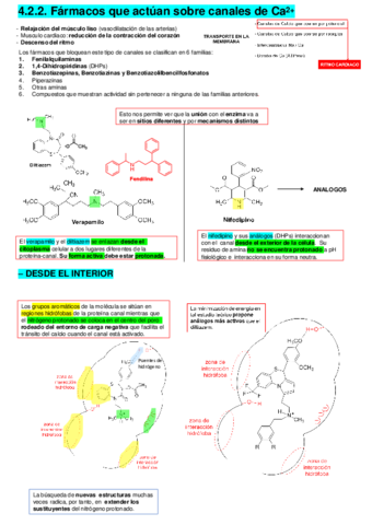 Canales-de-Calcio.pdf
