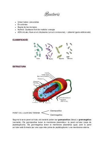 Bacteris-i-virus.pdf