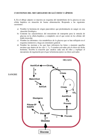 Teórico-Práctica 3.pdf