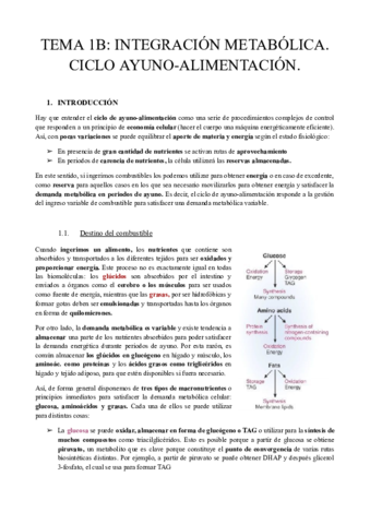 TEMA-1B-INTEGRACION-METABOLICA.pdf