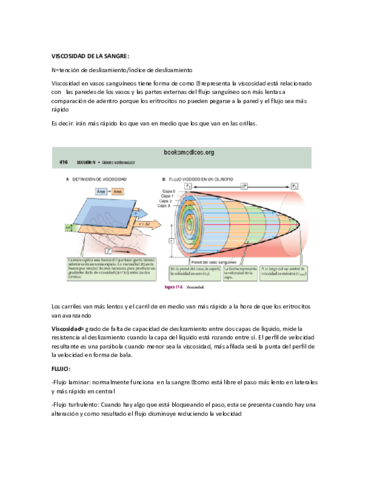 APUNTES-Autoguardado.pdf