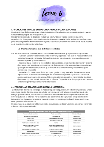 tema-6.pdf