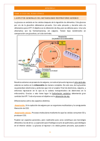 Tema-3-Bioquimica-.pdf