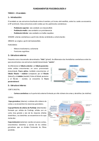 TEMA-5-Cerebelo.pdf
