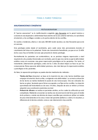 tema-3-pared-toracica.pdf