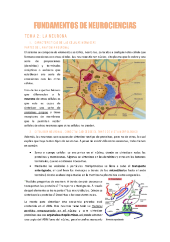 TEMA-2NEUROCIENCIASLa-Neurona.pdf