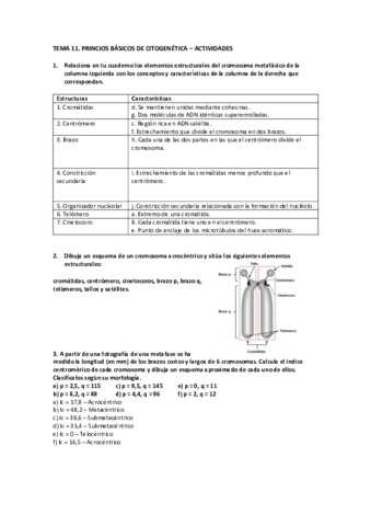 BMC-Tema-11-Actividades.pdf