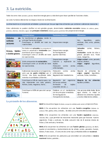 Nutricion-entrenamiento-tiempo-libre.pdf