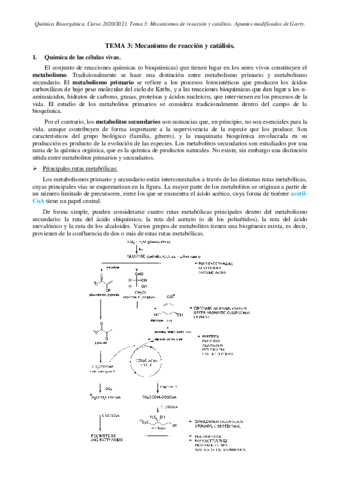 Tema-3.pdf