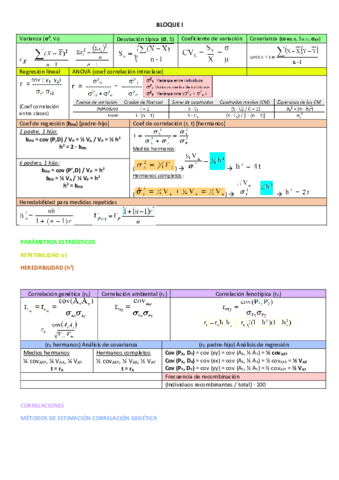 FORMULAS.pdf