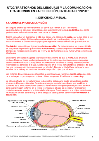 UD2C-TRASTORNOS-DEL-LENGUAJE-Y-LA-COMUNICACION-TRASTORNOS-EN-LA-RECEPCION-ENTRADA-O-INPUT.pdf