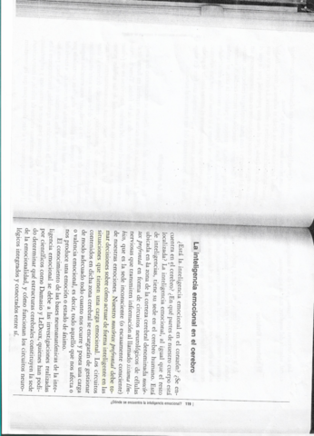 UD-2-La-IE-en-el-cerebro.pdf