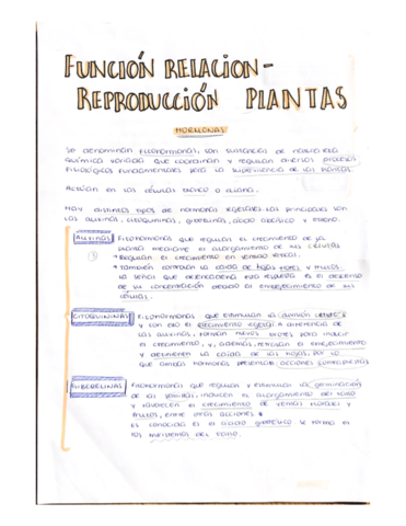PLANTAS.pdf
