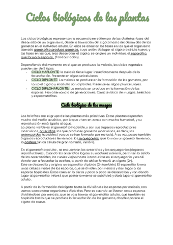 Ciclos-biologicos-de-las-plantas-.pdf