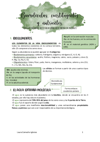 Tema-1-biomoleculas.pdf