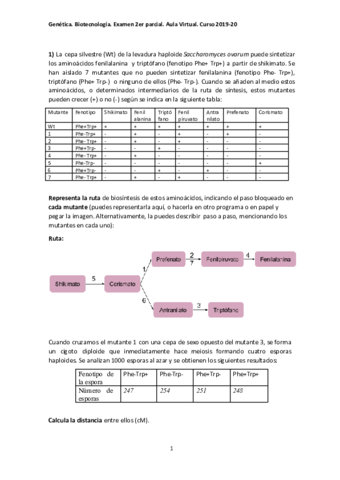 Examen-parcial-21.pdf