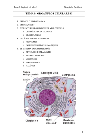 Tema-8-Organuls-cellulars-I.pdf
