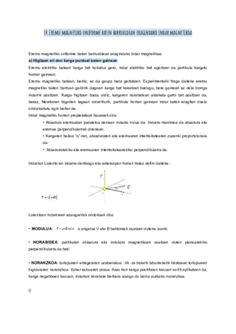 Eremu-magnetiko-uniforme-baten-barrualdean-eragindako-indar-magnetikoa.pdf
