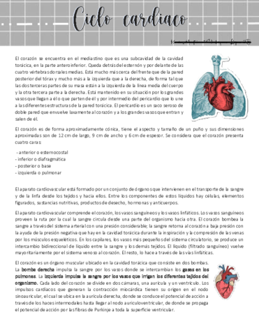 anat-resumen-cc.pdf