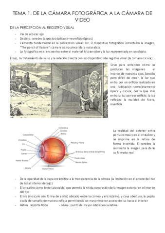 Tema-1-MAVIS.pdf