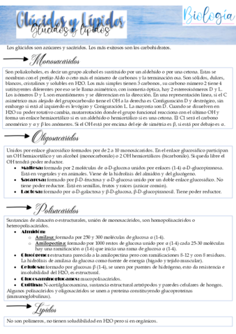 glucidos-y-lipidos.pdf