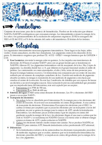 tema-10.pdf