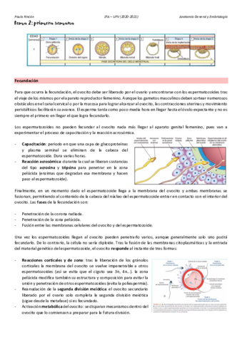 Anatomia-T2.pdf