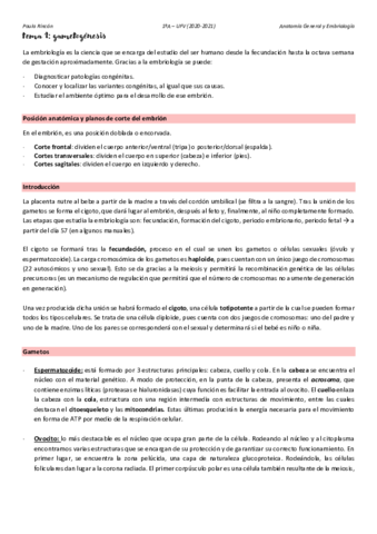 Anatomia-T1.pdf