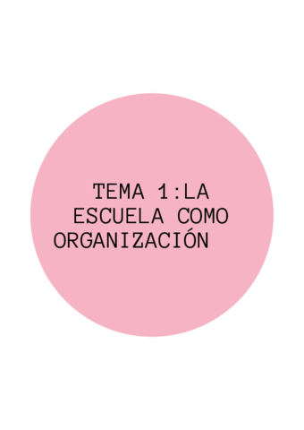 La-organizacion-del-aula-y-del-centro-escolar-2.pdf