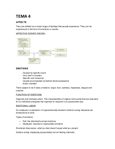 TEMA-4.pdf