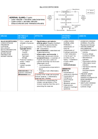 apuntes-farma-parte-2.pdf