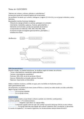 Tema-16-Glucidos.pdf