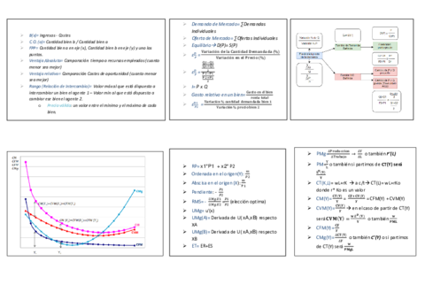 Formulario-Temas-1-5.pdf