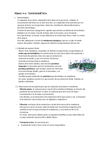 TEMAS-4-6.pdf