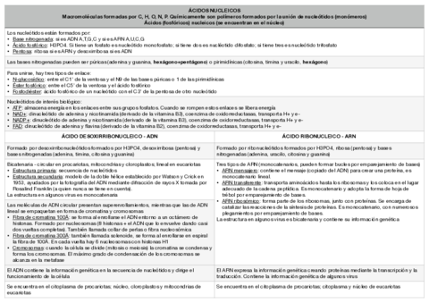 ACIDOS-NUCLEICOS.pdf
