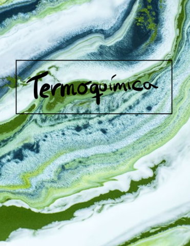 Termoquimica.pdf
