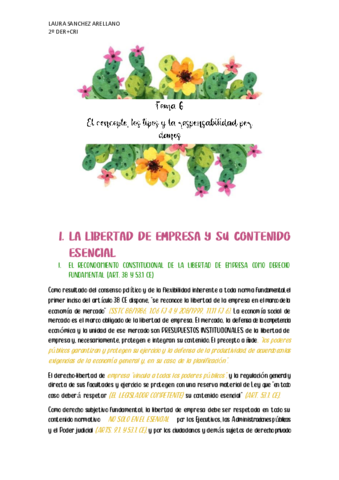 TEMA-6-DERECHO-MERCANTIL-I.pdf