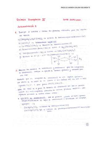 AUTOEVALUACION-2.pdf